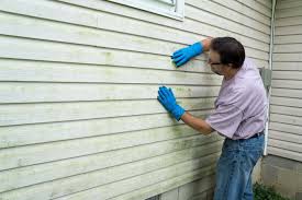 Affordable Siding Repair and Maintenance Services in Garden City, GA